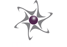 Morinci