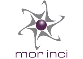 Morinci